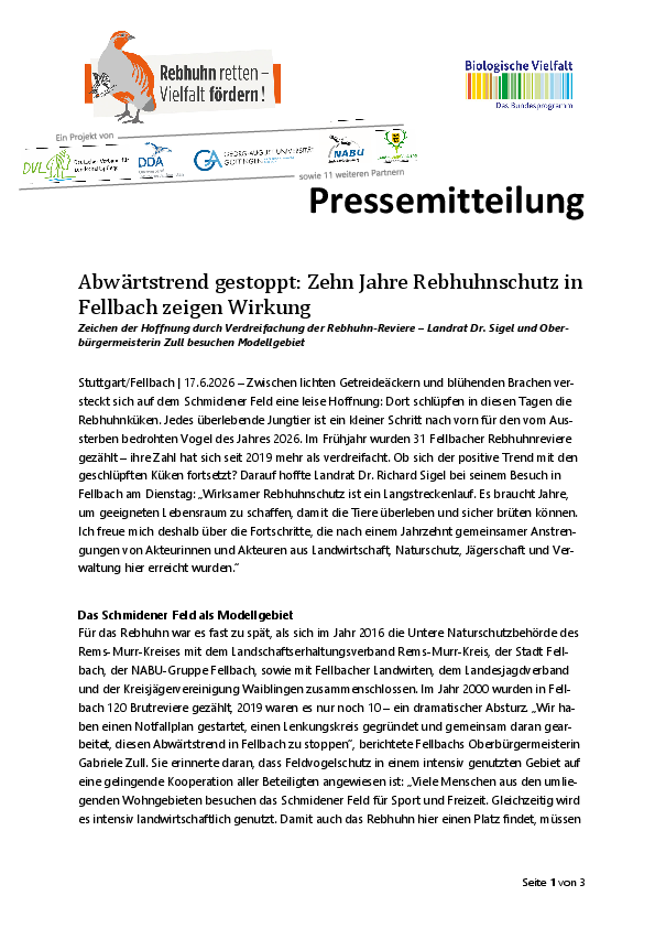 pdf-preview