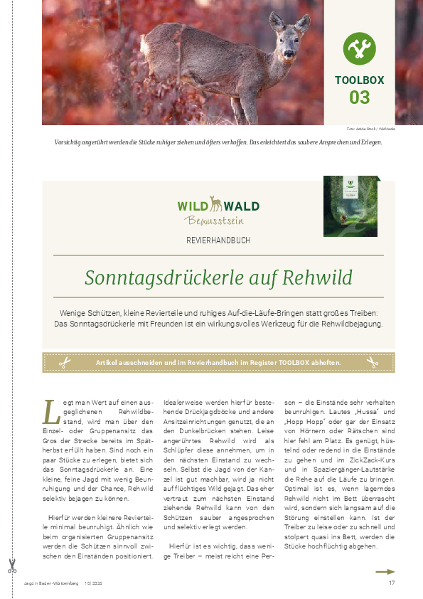 pdf-preview