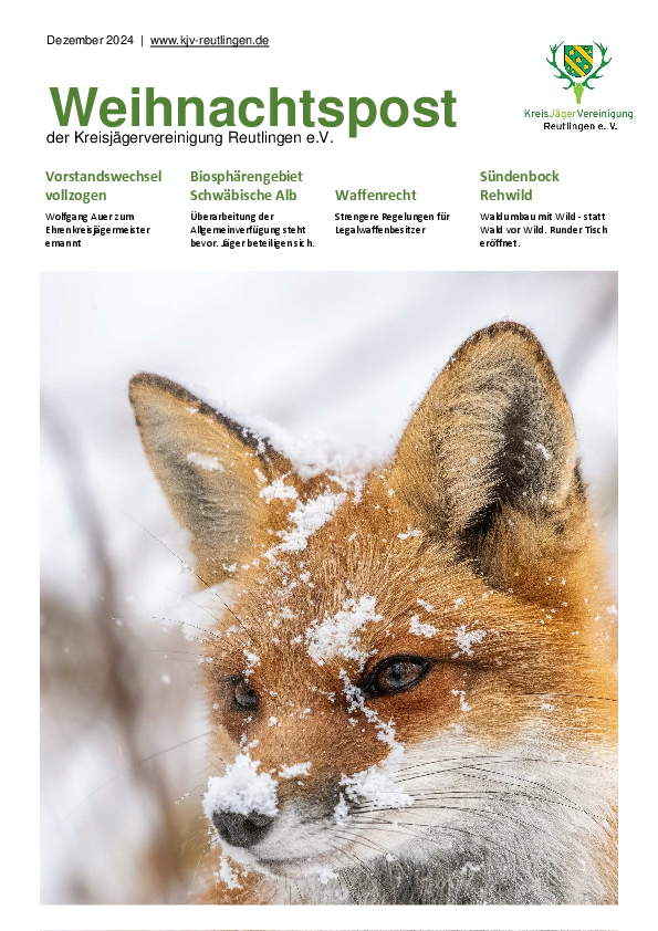 pdf-preview